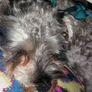 Meet your Posher, Melanie